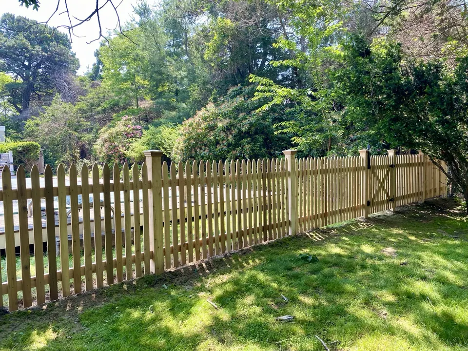 A gate set into the picket run so the rhythm continues through it