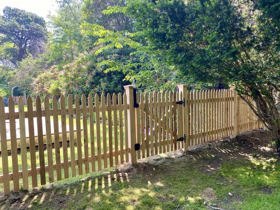 The pool gate under established planting