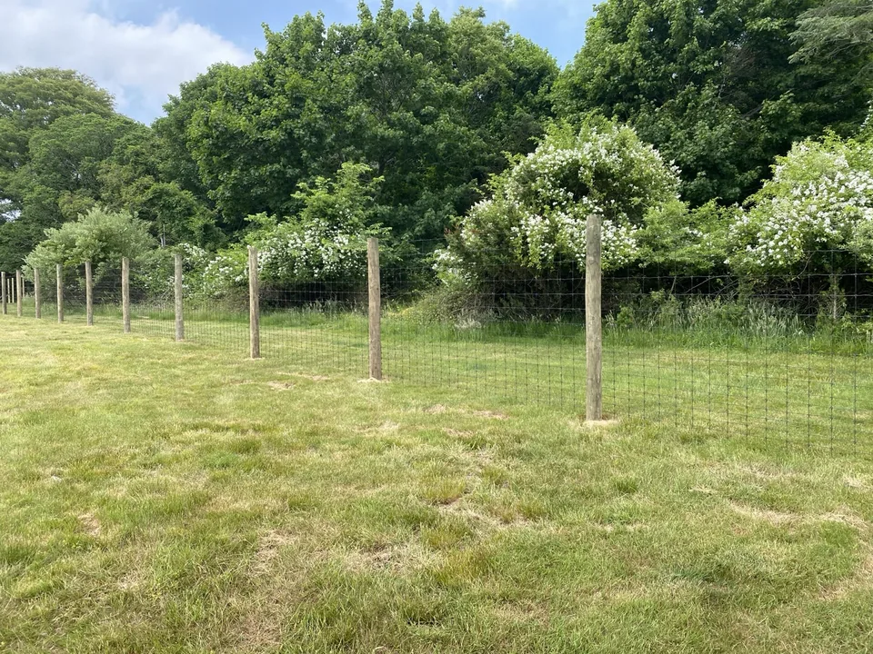 Round-post deer fence running along a flowering shrub border