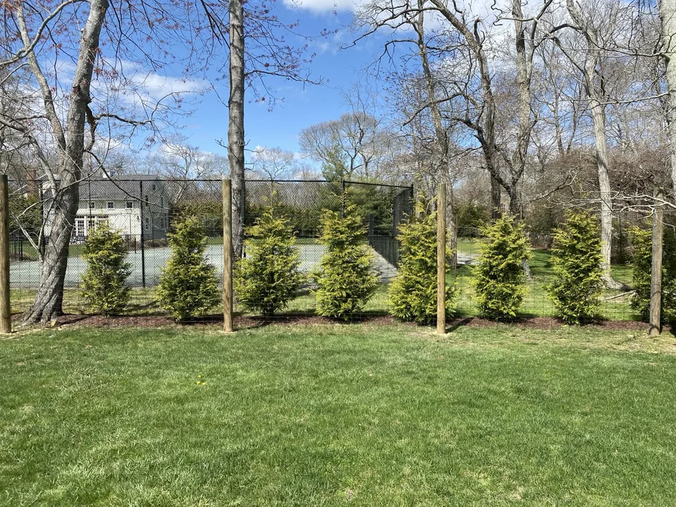 Deer fence on pressure-treated round posts with evergreen planting behind it