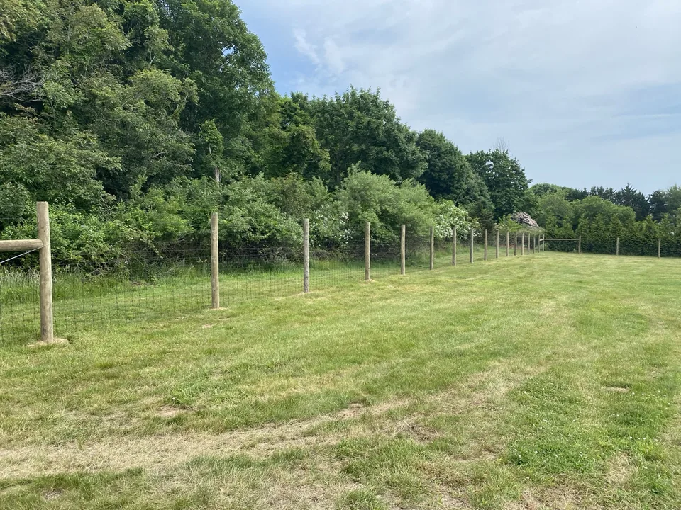 Deer fence on pressure-treated round posts along a wooded property edge in Suffolk County