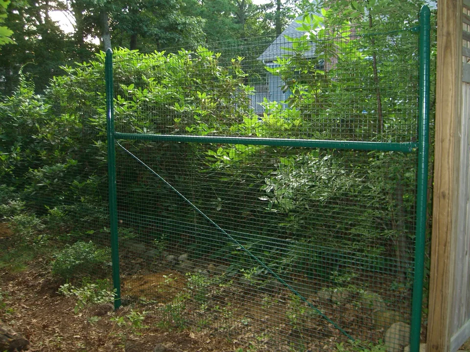 Six-foot green pool-code mesh fence with a mid-rail and brace, set against woodland planting