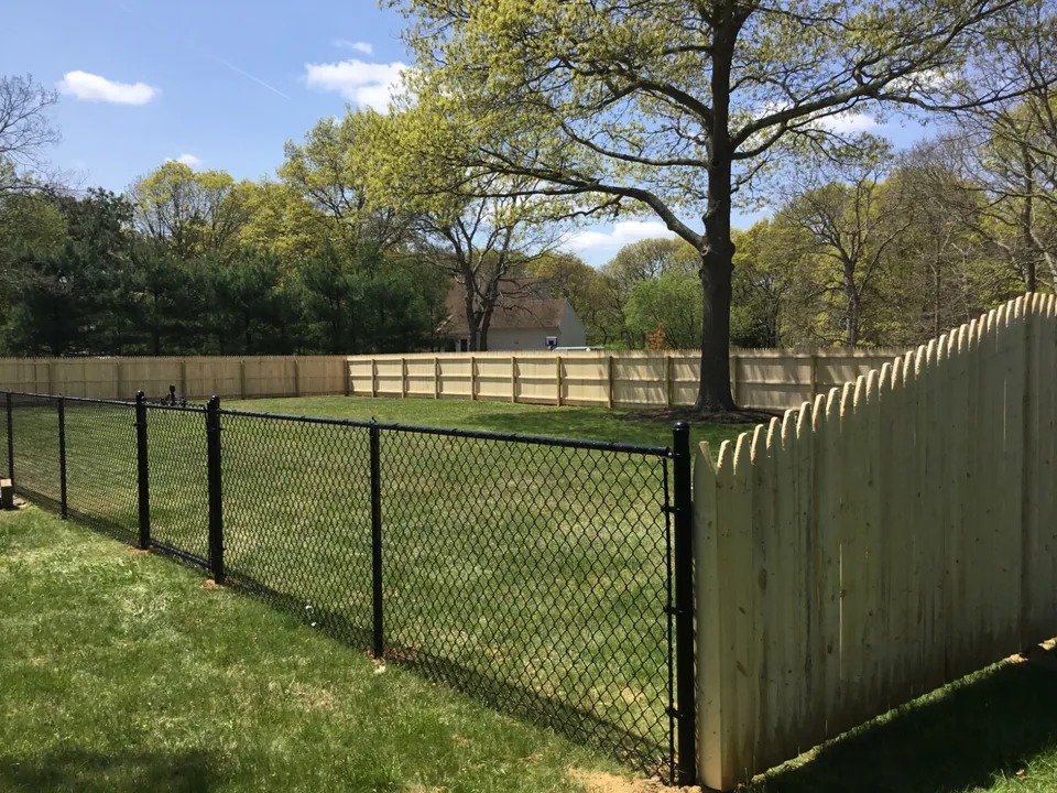 Black vinyl-coated chain link fence meeting a cedar privacy fence in a residential yard