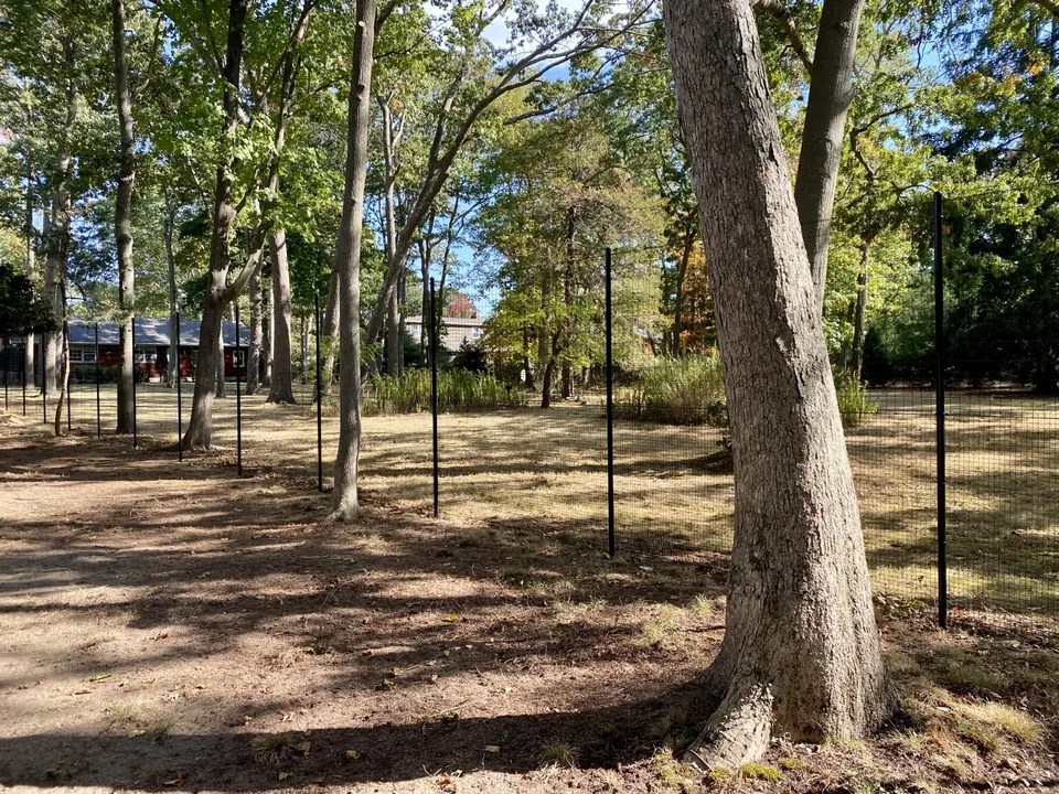 Stacked black deer fence running through mature woodland